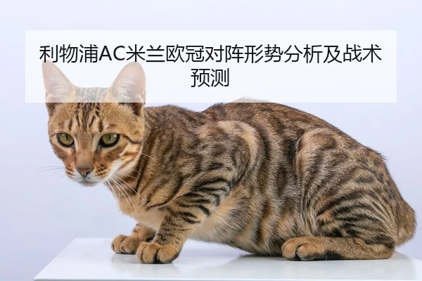利物浦AC米兰欧冠对阵形势分析及战术预测